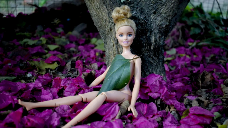 Fairy of the garden barbie online doll