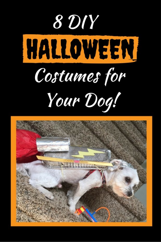 8 Adorable DIY Halloween Dog Costumes