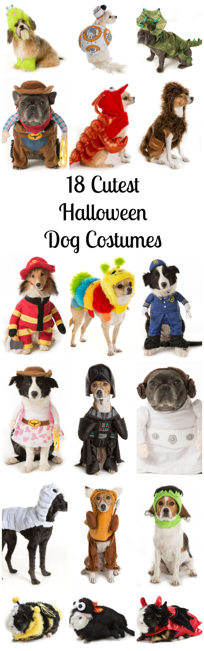 8 Cutest Halloween Dog Costumes