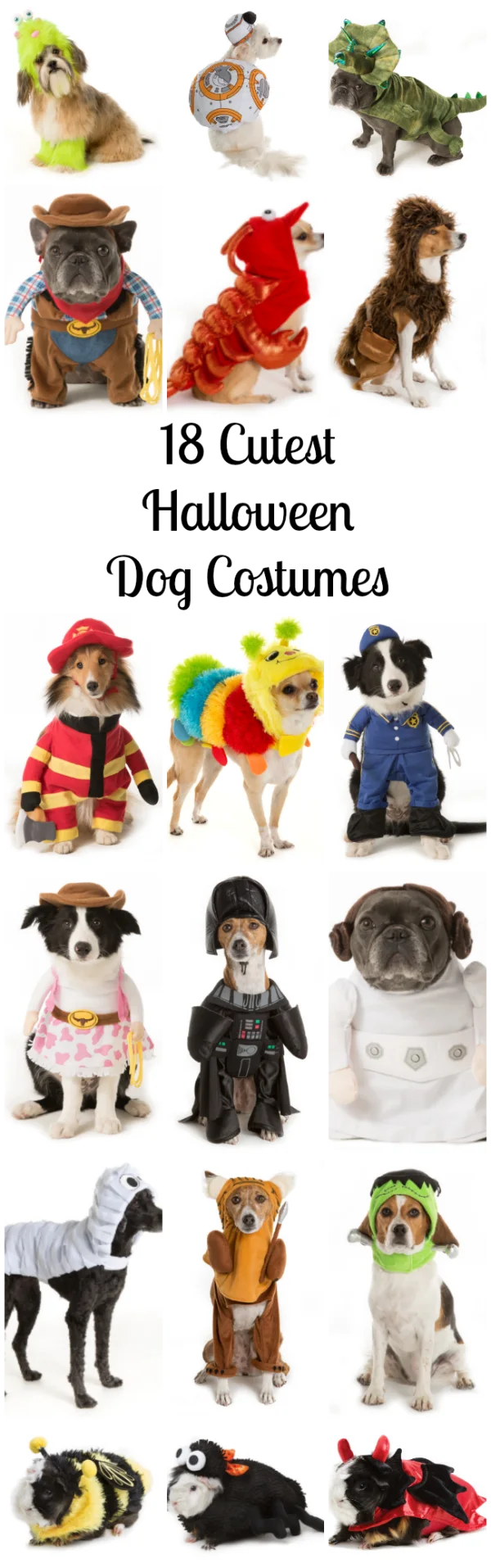 halloween dog costumes