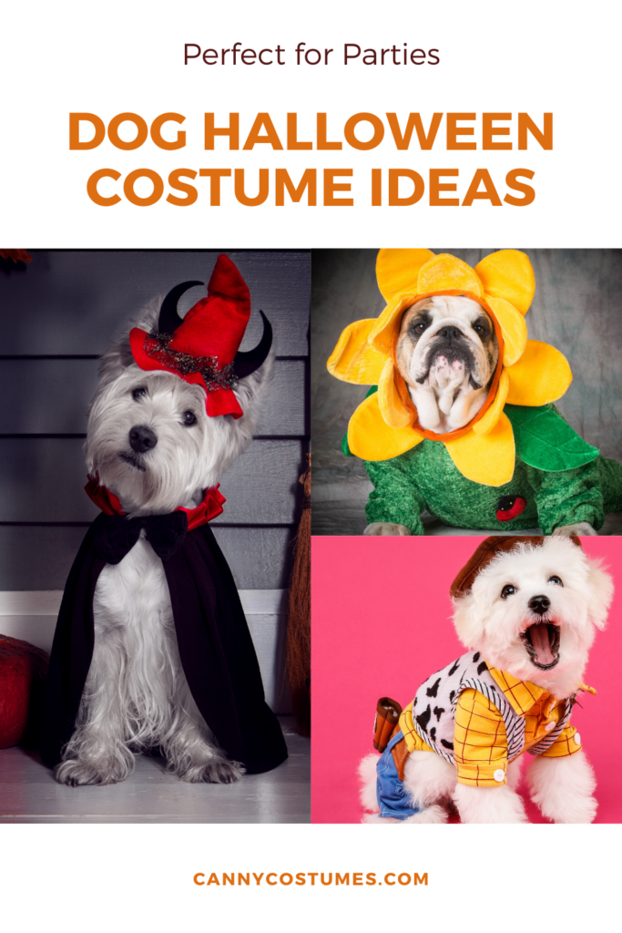 Dog Halloween Costume Ideas