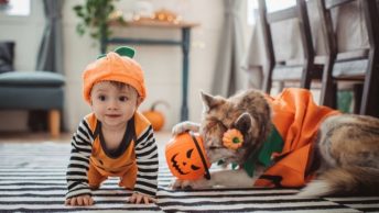 toddler halloween costume ideas