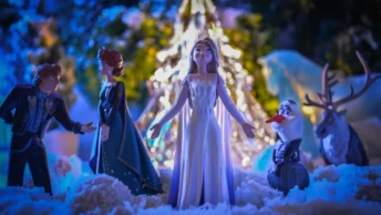 Adult Frozen Costumes
