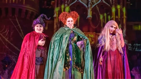 Hocus Pocus Halloween Costumes