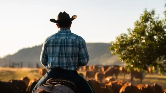 Cowboy Costumes