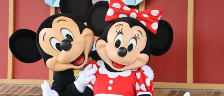 Mickey and Minnie Costumes