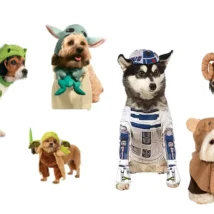 Dog Star Wars Costumes