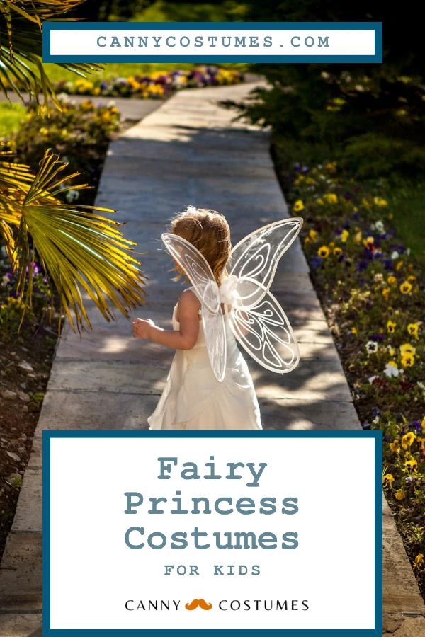 Fairy Princess Costumes