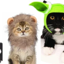 star wars cat costumes