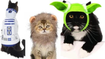 star wars cat costumes