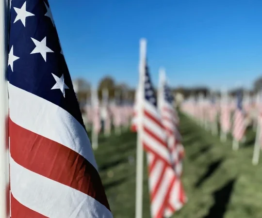 Memorial Day Flags