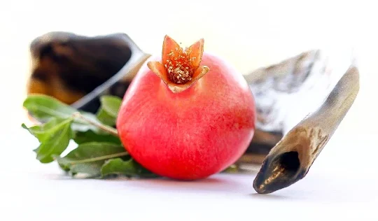 Vegan Rosh Hashanah Menu