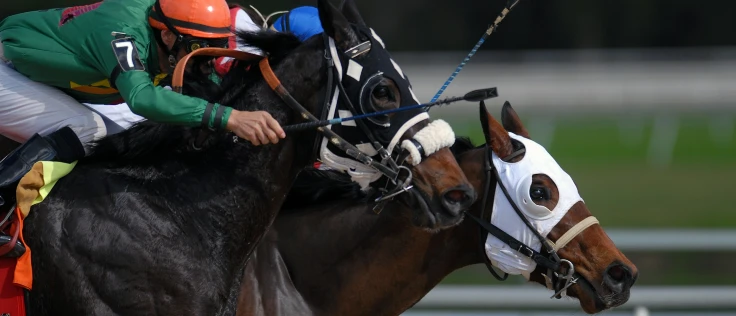Derby Bash