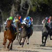 Derby Party Checklist
