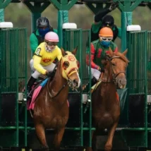 Kentucky Derby Costumes