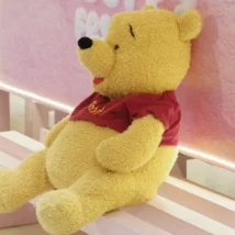 Winnie the Pooh Costume