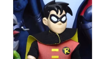 Robin Costumes
