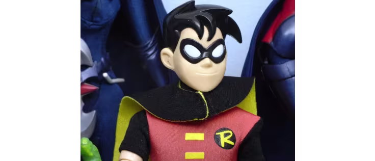 Robin Costumes